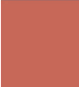 Absolute New York Demi-Matte Supreme Slim Lipstick (1.3gm)