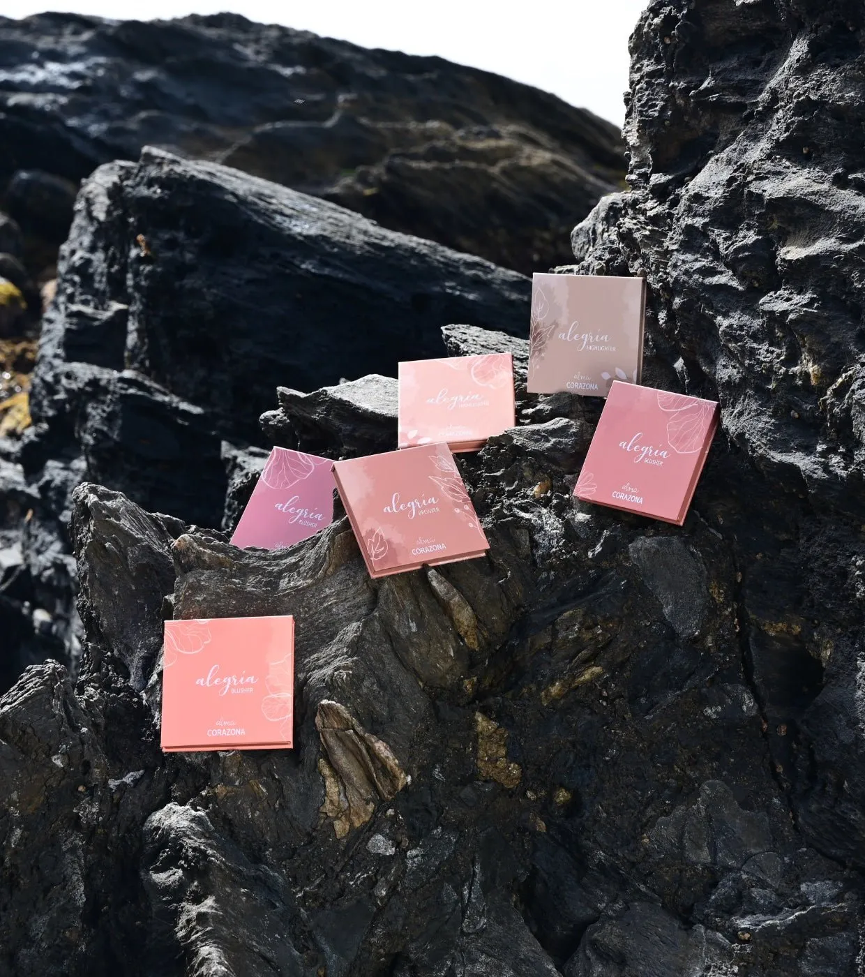 Alegría x Alma Collection - Powder bronzer - Brontorno