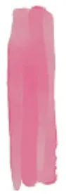 Amuse Luscious Lip Tint